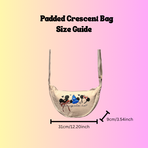 Mystery padded bag