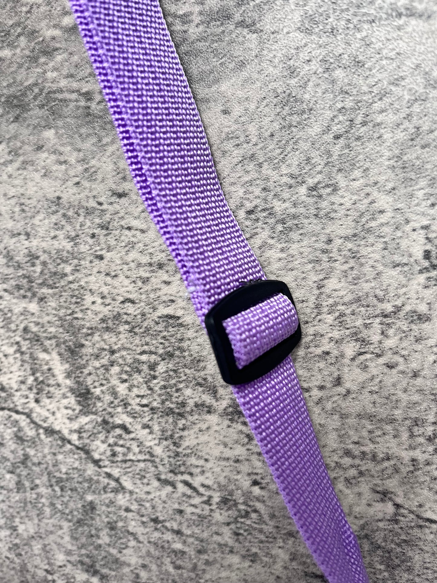 Lilac Magically Inspired lantern princess bag